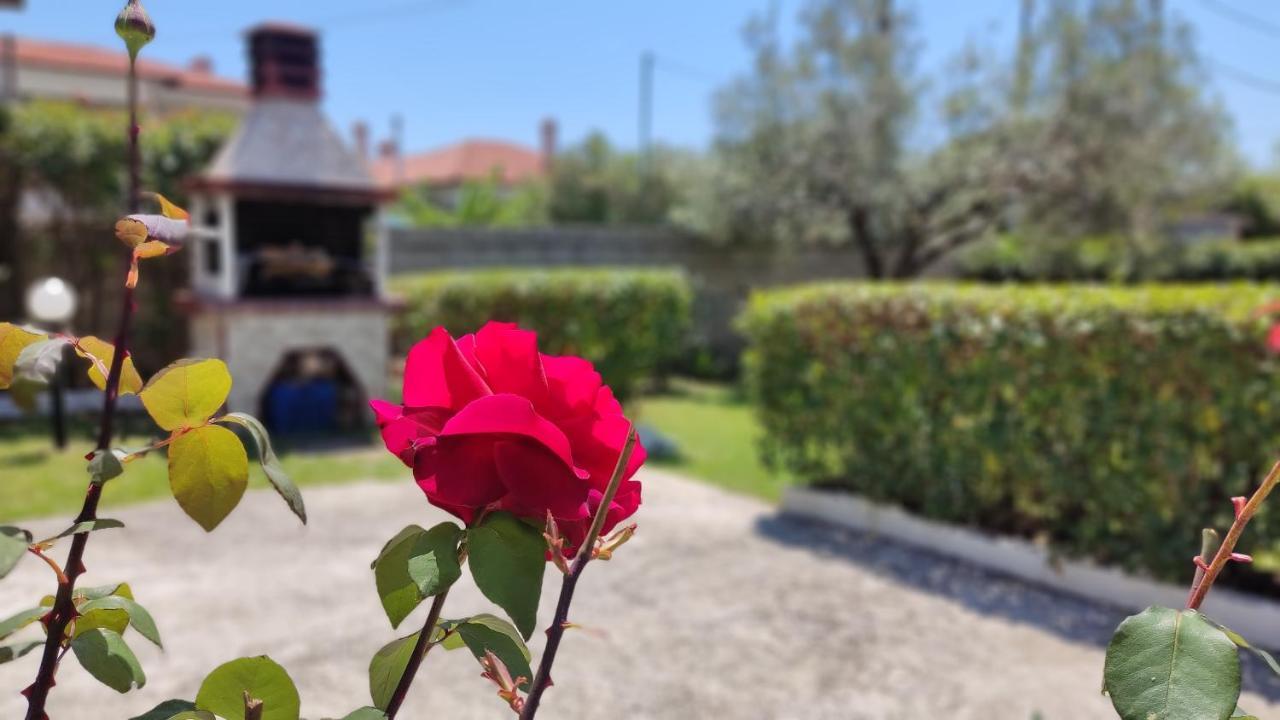 Willa Elina House And Garden Nikiti  Zewnętrze zdjęcie